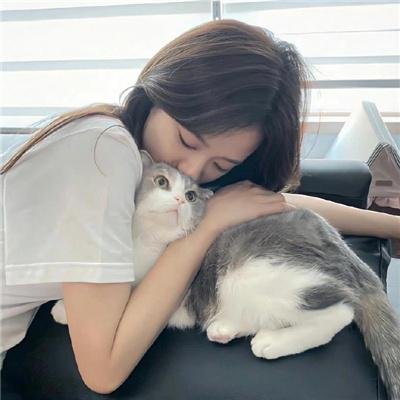 科搜研之女第24季