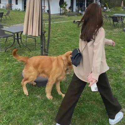芝加哥烈焰第十一季